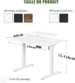 Bureau assis-debout électrique 200×80 cm avec support d’écran