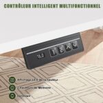 Bureau assis-debout électrique 200×80 cm avec support d’écran