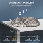 Bureau assis-debout électrique 160×80 cm