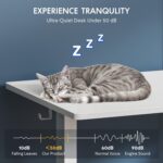 Bureau assis-debout électrique 160×80 cm