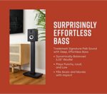 Caisson de basses actif 12 pouces 100 W pour home cinéma