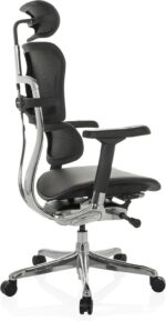 Chaise de bureau en cuir ERGOHUMAN GEN2 accoudoirs 5D charge 120 kg