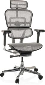 Chaise de bureau en cuir ERGOHUMAN GEN2 accoudoirs 5D charge 120 kg