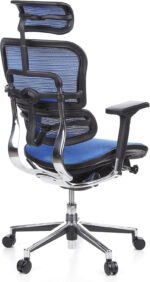 Chaise de bureau en cuir ERGOHUMAN GEN2 accoudoirs 5D charge 120 kg