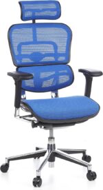 Chaise de bureau en cuir ERGOHUMAN GEN2 accoudoirs 5D charge 120 kg