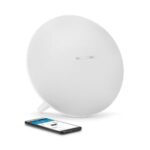 Enceinte bluetooth portable 60W avec Micro et appairage double