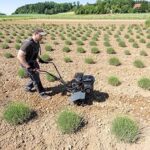 Motobineuse à essence AL-KO MH 540 Comfort 196 cm³ 54 cm