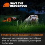 Robot tondeuse sans fil 250 m², caméra 4K, multizone