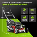 Tondeuse à gazon thermique, 224 cm³, coupe 53 cm, bac 65 L, traction arrière