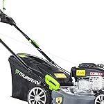 Tondeuse à gazon thermique EQ2-300 42 cm, 125 cm³