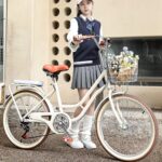 Vélo de ville hybride adulte 6 vitesses cadre acier, charge 150 kg, porte-bagages