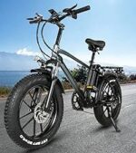 Vélo électrique fat bike pliable 250W 20 pouces 48V 24Ah