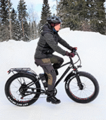 Vélo électrique fat bike pliable 250W 20 pouces 48V 24Ah