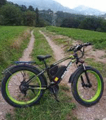 Vélo électrique fat bike pliable 250W 20 pouces 48V 24Ah