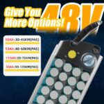 Vélo électrique pliable 250W 14 pouces batterie amovible 48V 13Ah