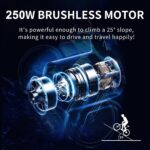 Vélo électrique pliable 250W 14 pouces batterie amovible 48V 13Ah