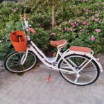 Vélo hybride urbain 6 vitesses avec panier avant, porte-bagages, freins V-brake/tambour